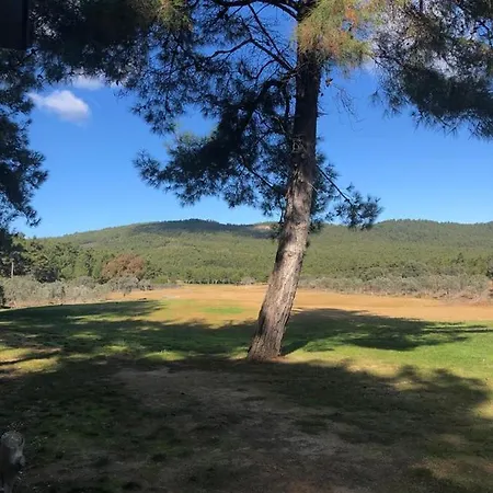 Villa Regnum Golfvilla